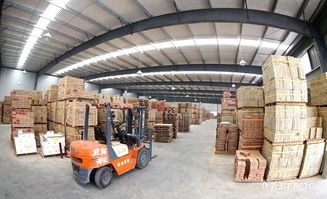 自建仓储物流 构筑新兴市场繁荣的根基与生命线